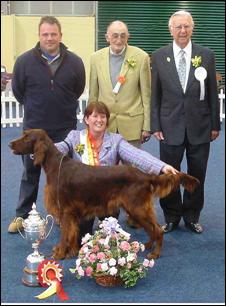 C.I. Dog of the Year