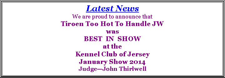 Text Box: Latest News  We are proud to announce that Tiroen Too Hot To Handle JW wasBEST  IN  SHOWat the Kennel Club of Jersey January Show 2014JudgeJohn Thirlwell