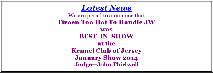 Text Box: Latest News  We are proud to announce that Tiroen Too Hot To Handle JW wasBEST  IN  SHOWat the Kennel Club of Jersey January Show 2014Judge�John Thirlwell