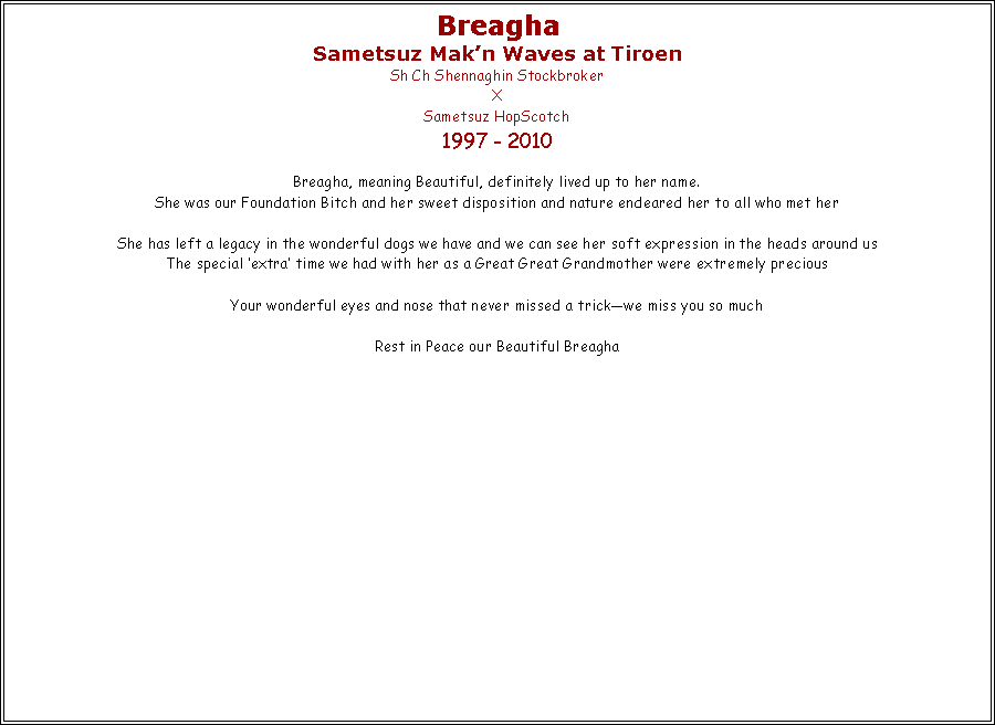 Text Box: &nbsp;Breagha
Sametsuz Mak�n Waves at TiroenSh Ch Shennaghin Stockbroker X  Sametsuz HopScotch
1997 - 2010
Breagha, meaning Beautiful, definitely lived up to her name.She was our Foundation Bitch and her sweet disposition and nature endeared her to all who met her She has left a legacy in the wonderful dogs we have and we can see her soft expression in the heads around usThe special �extra� time we had with her as a Great Great Grandmother were extremely preciousYour wonderful eyes and nose that never missed a trick�we miss you so much

Rest in Peace our Beautiful Breagha