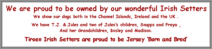 Text Box: We are proud to be owned by our wonderful Irish SettersWe show our dogs both in the Channel Islands, Ireland and the UK .We have T.J. & Jules and two of Juless children, Snupps and Freya ,And her Grandchildren, Bosley and Madison.Tiroen Irish Setters are proud to be Jersey Born and Bred