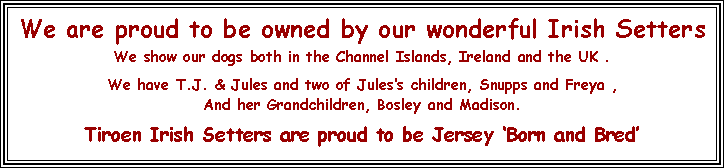 Text Box: We are proud to be owned by our wonderful Irish SettersWe show our dogs both in the Channel Islands, Ireland and the UK .We have T.J. & Jules and two of Jules�s children, Snupps and Freya ,And her Grandchildren, Bosley and Madison.Tiroen Irish Setters are proud to be Jersey �Born and Bred�