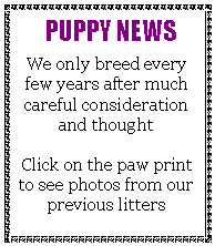 Text Box:   PUPPY NEWSWe only breed every few years after much careful consideration and thought Click on the paw print to see photos from our previous litters 