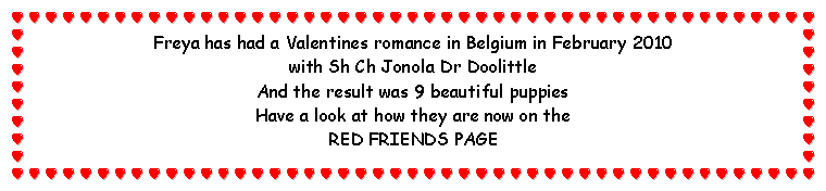 Text Box: Freya has had a Valentines romance in Belgium in February 2010 with Sh Ch Jonola Dr Doolittle And the result was 9 beautiful puppies Have a look at how they are now on the RED FRIENDS PAGE