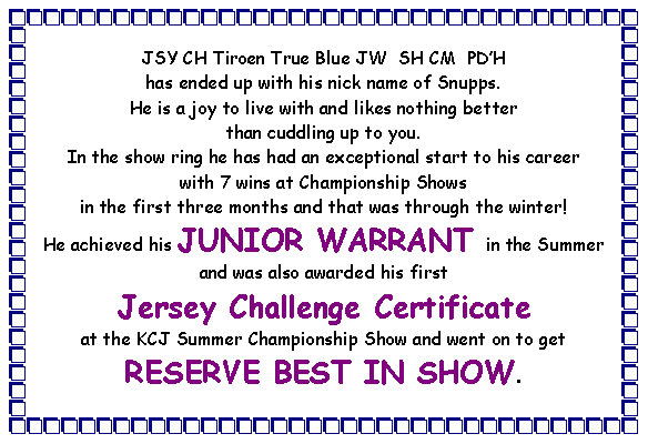 Text Box: JSY CH Tiroen True Blue JW  SH CM  PD�H  has ended up with his nick name of Snupps. He is a joy to live with and likes nothing better than cuddling up to you. In the show ring he has had an exceptional start to his career with 7 wins at Championship Shows in the first three months and that was through the winter! He achieved his JUNIOR WARRANT in the Summer and was also awarded his first Jersey Challenge Certificate at the KCJ Summer Championship Show and went on to get RESERVE BEST IN SHOW. 