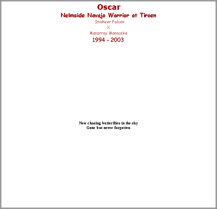 Text Box: &nbsp;OscarNelmside Navajo Warrior at Tiroen Inisheer FalconXManorroy Manouska1994 - 2003 
Now chasing butterflies in the sky
Gone but never forgotten 
